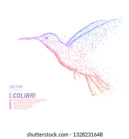 Abstract polygonal light of closeup hummingbird. Business wireframe mesh spheres from flying debris. Health and wellness concept. Colorful structure style vector illustration on white.