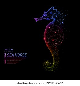 Abstract polygonal light of closeup sea horse. Business wireframe mesh spheres from flying debris. Implementation plans concept. Colorful structure style vector illustration on black.