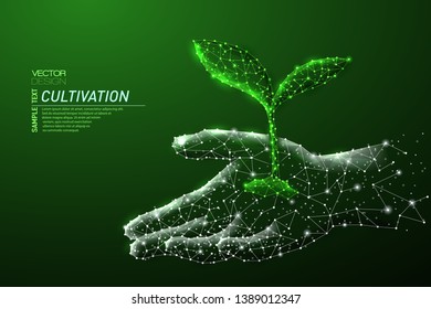 Diseño abstracto de luz poligonal del brote creciente en mano humana. Esferas de malla de negocios de escombros voladores. Concepto de cultivo. Líneas verdes,dibujo 3D de estilo de estructura de puntos.
