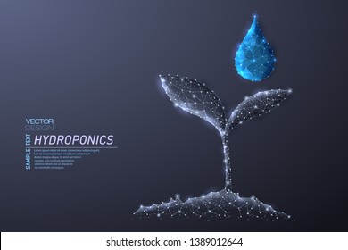 Abstract polygonal light design of growing sprout and clean water drop. Business mesh spheres from flying debris. Hydroponics concept. Gray lines,dots structure style vector 3D illustration.