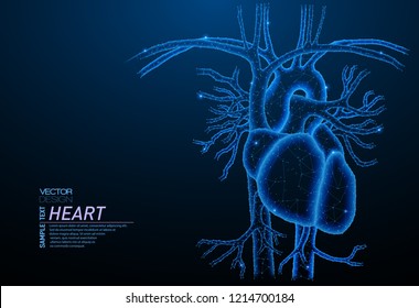 Abstract polygonal light of healthy heart - human organ. Business wireframe mesh spheres from flying debris. Medical concept. Blue structure style vector illustration.