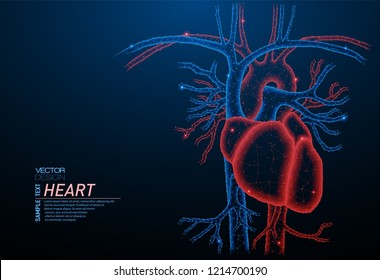 Abstract polygonal light of healthy heart - human organ. Business wireframe mesh spheres from flying debris. Medical concept. Blue structure style vector illustration.