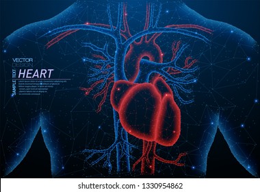 Abstract polygonal light of healthy heart structure. Business wireframe mesh spheres from flying debris. Human organ concept. Blue structure style vector illustration with geometry triangles.