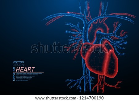 Abstract polygonal light of healthy heart - human organ. Business wireframe mesh spheres from flying debris. Medical concept. Blue structure style vector illustration.