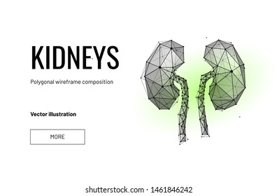 Abstract polygonal light of healthy kidneys structure. Business wireframe mesh spheres from flying debris. Human organ concept. Blue structure style vector illustration with geometry triangles.