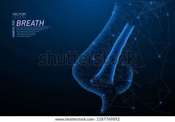 Abstract polygonal light of nasal cavity\
structure. Business wireframe mesh spheres from flying debris.\
Human nose anatomy concept. Blue structure style vector\
illustration with geometry\
triangles.