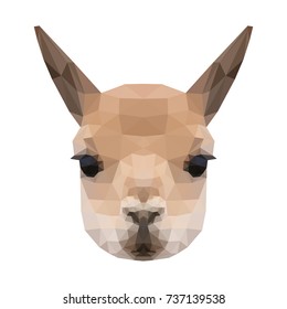 Abstract polygonal llama head. Modern low poly lovely llama portrait pattern background for design t shirt, veterinary clinic poster, gift card, bag print, art workshop advertising etc.