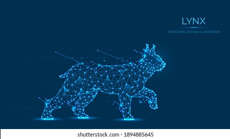 Abstract polygonal lynx made of lines and dots isolated on blue background. Low poly vector illustration of a wild cat