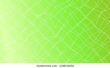 Abstract polygonal mesh template. Decorative design for your idea. Vector illustration. Creative gradient color