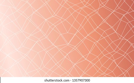 Abstract polygonal mesh template. Decorative design for your idea. Vector illustration. Creative gradient color