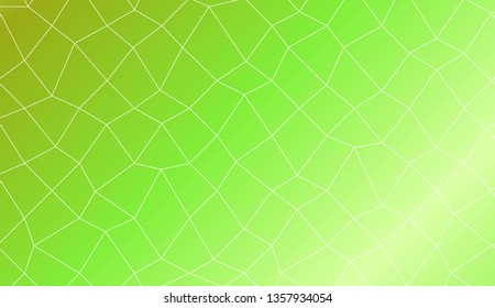 Abstract polygonal mesh template. Decorative design for your idea. Vector illustration. Creative gradient color