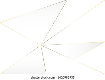 Abstract polygonal pattern luxury golden line with white template background.Vector background can be used in cover design, book design, poster, cd cover, flyer, website backgrounds or advertising.