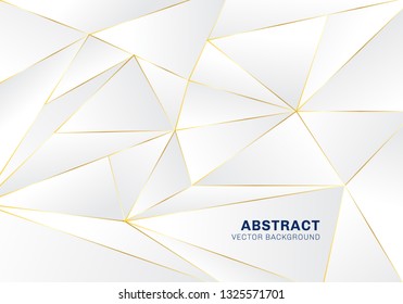 Abstract polygonal pattern luxury on white and gray header background with golden lines. Vector illustration