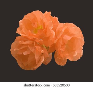 Abstract polygonal rose. Vector illustration of three orange roses in low poly style on dark background. Picture of flowers made of colored triangles.