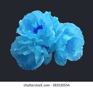 Abstract polygonal rose. Vector illustration of three blue roses in low poly style on dark background. Picture of flowers made of colored triangles.
