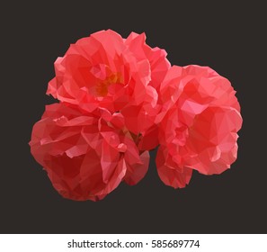 Abstract polygonal rose. Vector illustration of three red roses in low poly style on dark background. Picture of flowers made of colored triangles.