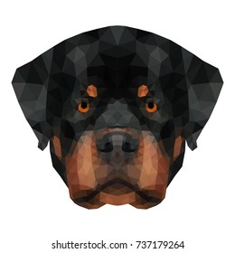 Abstract polygonal rottweiler head. Modern low poly rottweiler portrait pattern background for design t shirt, veterinary clinic poster, gift card, bag print, art workshop advertising etc.
