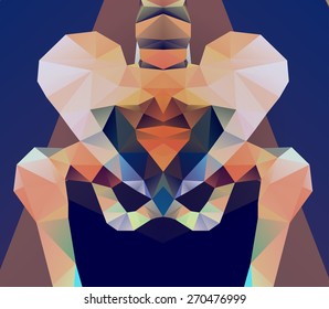 Abstract polygonal skeleton. Geometric pelvis. low poly illustration