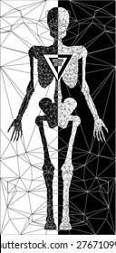 Abstract polygonal skeleton. Linear illustration. Polygonal poster