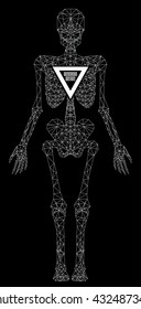Abstract polygonal skeleton. Linear illustration. Polygonal poster