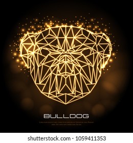 Abstract polygonal tirangle animal bulldog neon sign. Hipster animal