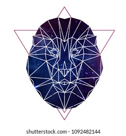 Abstract polygonal tirangle animal lion with open space background. Hipster animal illustration.