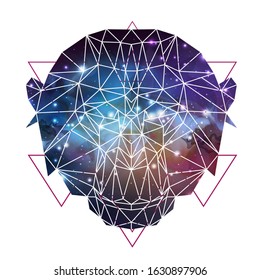 Abstract polygonal tirangle animal monkey with open space background. Hipster animal illustration.