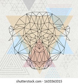 Abstract polygonal tirangle animal monkey. Hipster animal illustration.