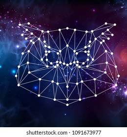 Abstract polygonal tirangle animal owl on open space background. Hipster animal illustration.
