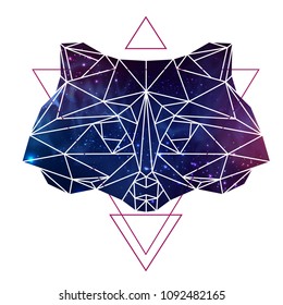 Abstract polygonal tirangle animal raccoon with open space background. Hipster animal illustration.