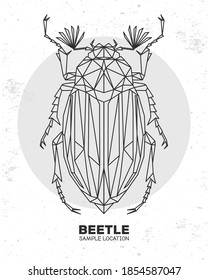 Abstract polygonal triangle beetle. Artistic Bug. Entomological vector illustration