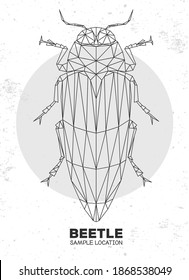 Abstract polygonal triangle Belionota tricolor beetle. Artistic Bug. Entomological vector illustration