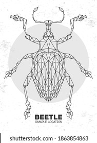 Abstract polygonal triangle Curculionidae beetle. Artistic Bug. Entomological vector illustration