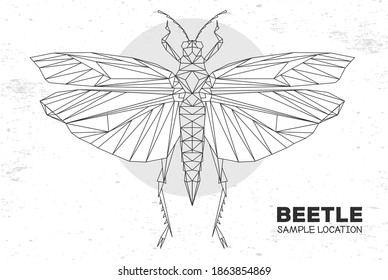 Abstract polygonal triangle grasshopper. Artistic Bug. Entomological vector illustration