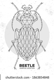 Abstract polygonal triangle ground beetle. Artistic Bug. Entomological vector illustration