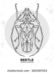 Abstract polygonal triangle longhorn beetle. Artistic Bug. Entomological vector illustration