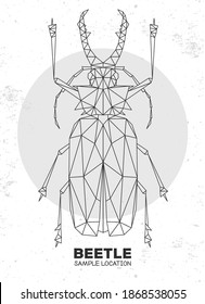 Abstract polygonal triangle Saber tooth Longhorn beetle. Artistic Bug. Entomological vector illustration