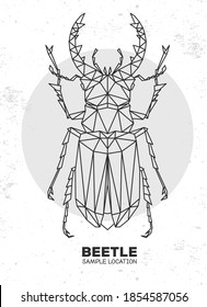 Abstract polygonal triangle stag beetle. Artistic Bug. Entomological vector illustration