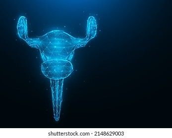 Abstract polygonal uterus vector illustration on dark blue background. Female reproductive organ low poly design. Medical banner, template or background.