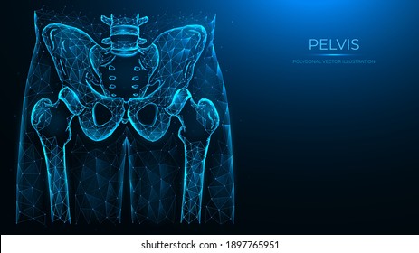 Abstract polygonal vector illustration pelvis and hip. X ray of the hip joint made from lines and dots, isolated on a blue background.