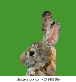 Abstract polygonal vector illustration. Portrait of rabbit.