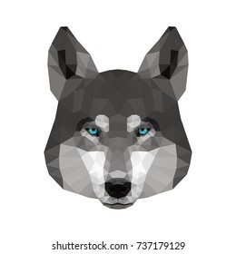 Abstract polygonal wolf head. Modern low poly wolf portrait pattern background for design t shirt, veterinary clinic poster, gift card, bag print, art workshop advertising etc.