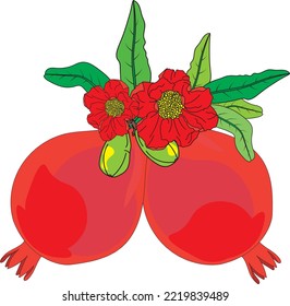 Abstract of Pomegranate , Punica apple and flower with leaves on white background.