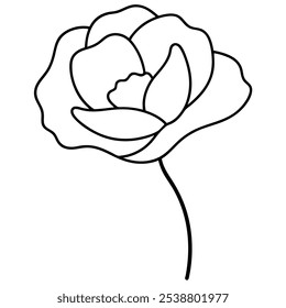 Abstract poppies flowers one line art. Continuous line drawing. Minimalist art style on white background. victor art