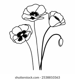 Abstract poppies flowers one line art. Continuous line drawing. Minimalist art style. vector art