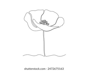 abstract poppy flower,continuous single line art drawing sketch, logo