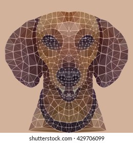 Abstract portrait of a dog of a dachshund who sits. The dog is represented on a beige rectangular background. 