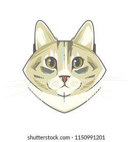 Abstract portrait of a funny cat
