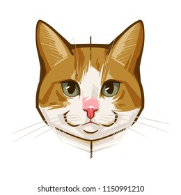 Abstract portrait of a funny cat