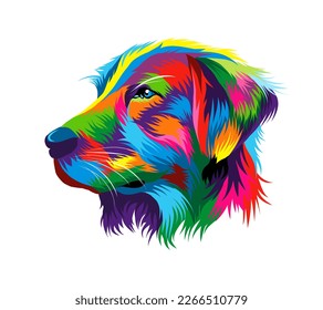 Abstract Portrait of the head of a golden retriever from multicolored paints. Splash of watercolor, colored drawing, realistic. Vector illustration of paints